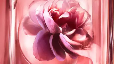 Rose Damascena osszetevő