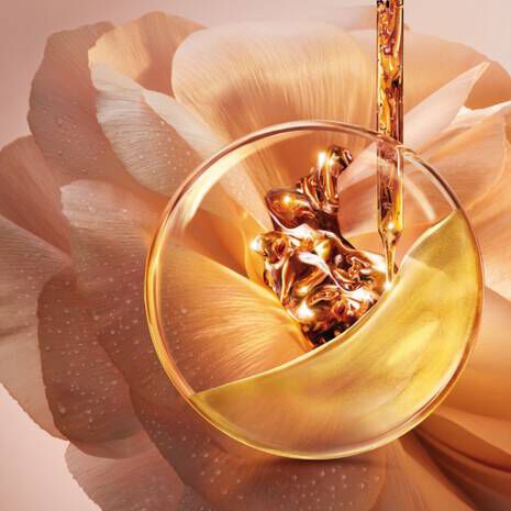 ABSOLUE COLLECTION