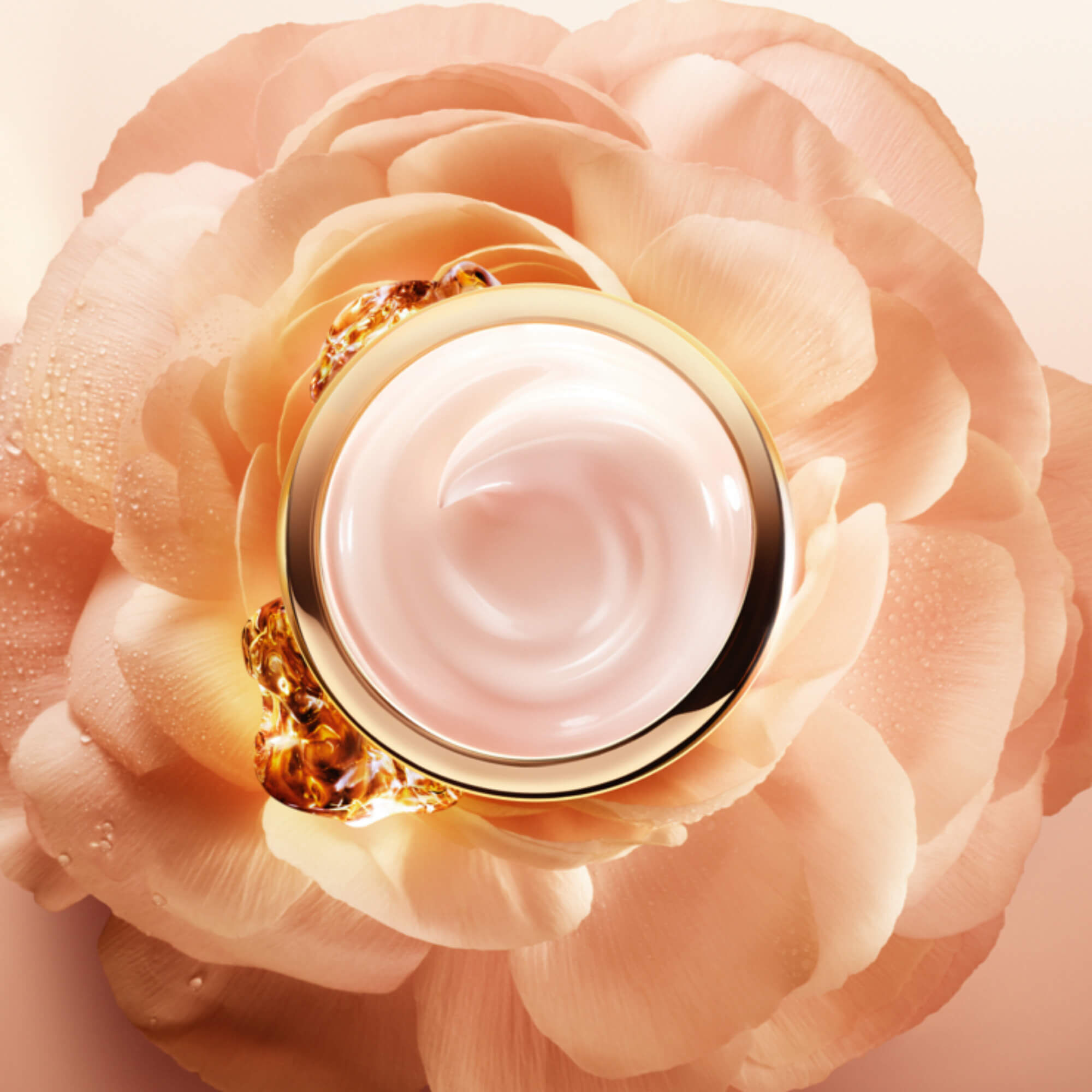 ABSOLUE CREME LEGERE REGENERANTE ILLUMINATRICE
