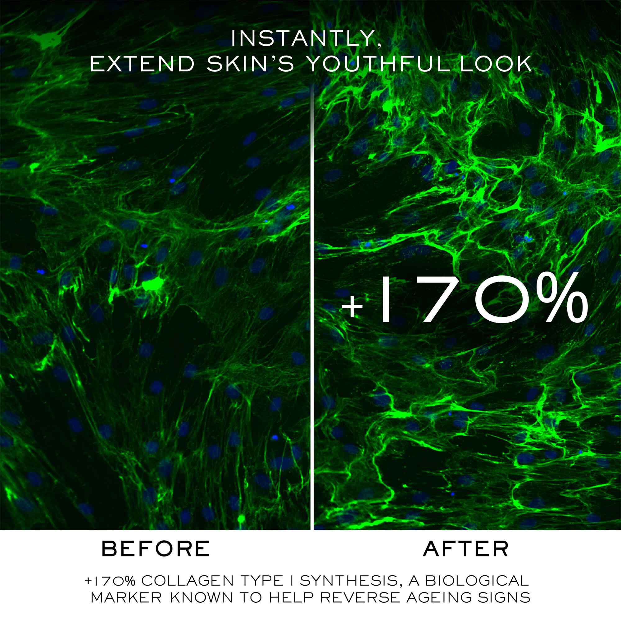 Absolue Longevity The Soft Cream