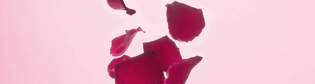 A collection of red rose petals gently falling against a soft pink background.