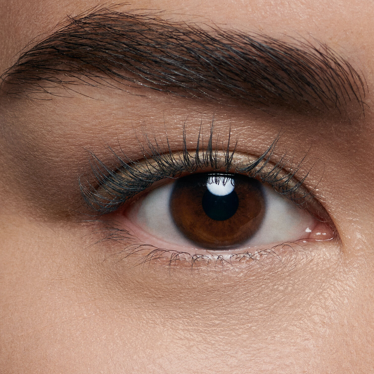 Close-up of a human eye with brown iris, prominent eyelashes, and well-groomed eyebrow.
