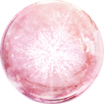 Rozsaszin, fenyes gomb, amelyen vilagos, csillogo texturak lathatok a kozeppontban.