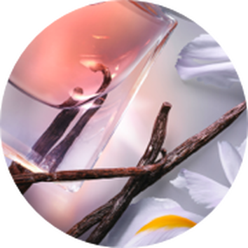 Vanilias parfum uveg, feher viragok es vaniliarudak kornyezeteben, elegans es illatos kompozicio.