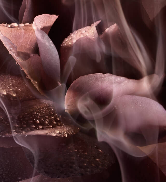A close-up of soft, pink flower petals with droplets of water, softly blurred and enveloped in delicate wisps of smoke.