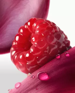 Gyumolcsos illatillusztracio Lancome